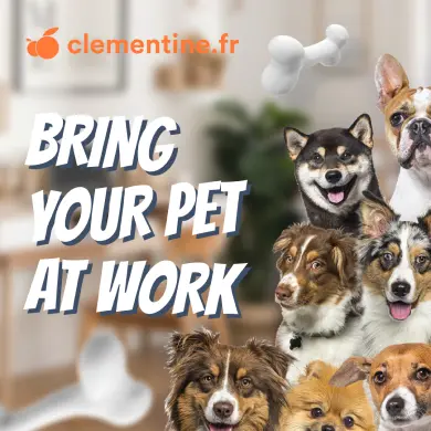 Voir la vidéo Nous avons organisé une journée